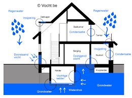 vocht verwijderen uit huis