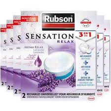 rubson opstijgend vocht