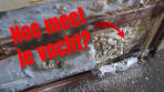 hoe vochtig mag een muur zijn