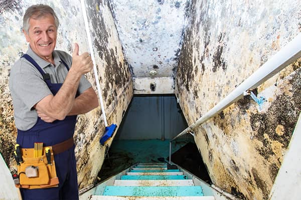 opstijgend vocht keldermuren