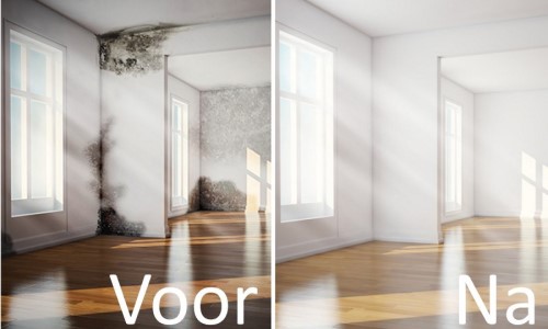 schimmel op muren verwijderen