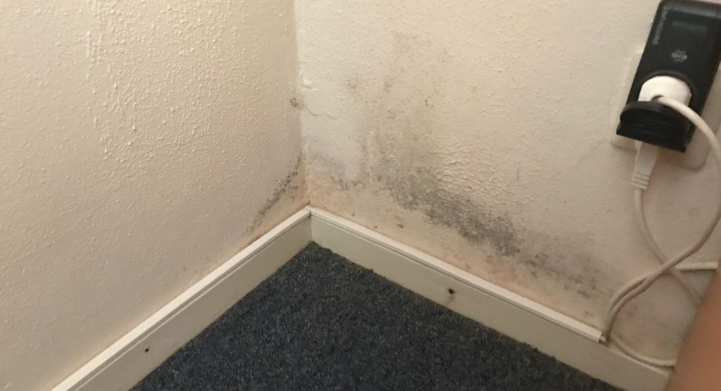 schimmel op muur verwijderen