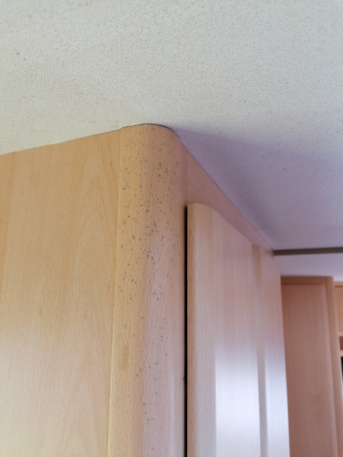 vochtplekken verwijderen plafond