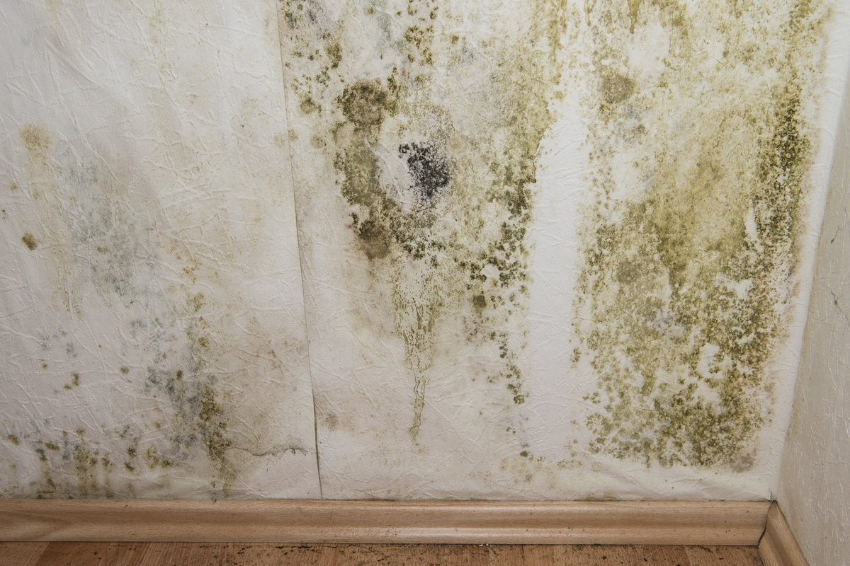 opstijgend vocht hoogte