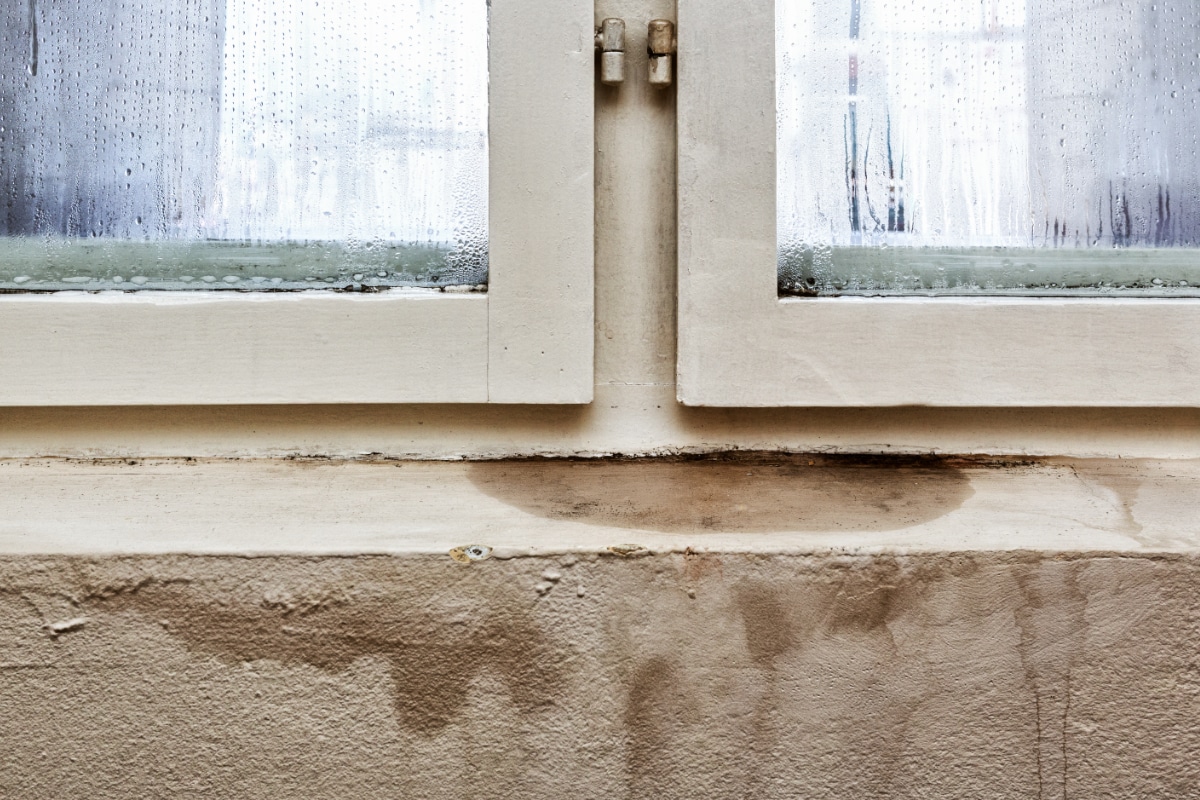 kosten vochtbestrijding