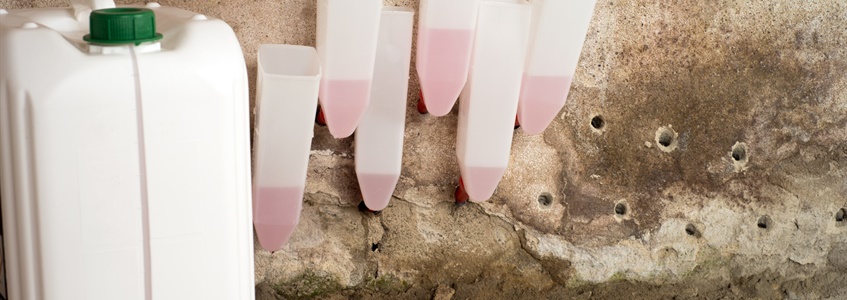 muren injecteren kosten