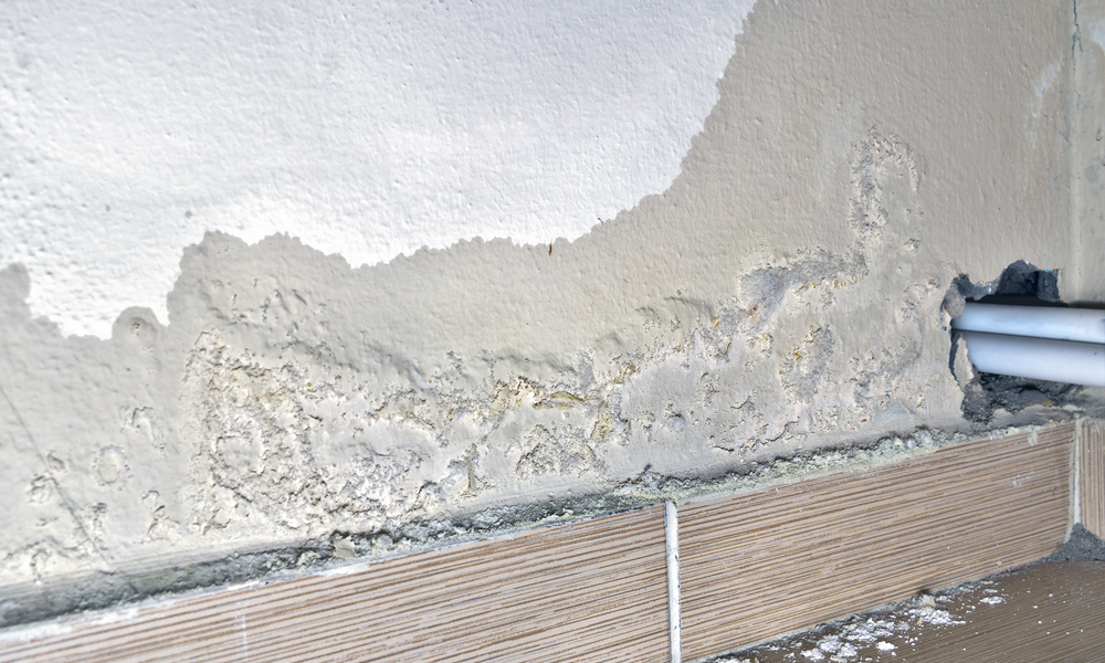 oplossing vochtige muren