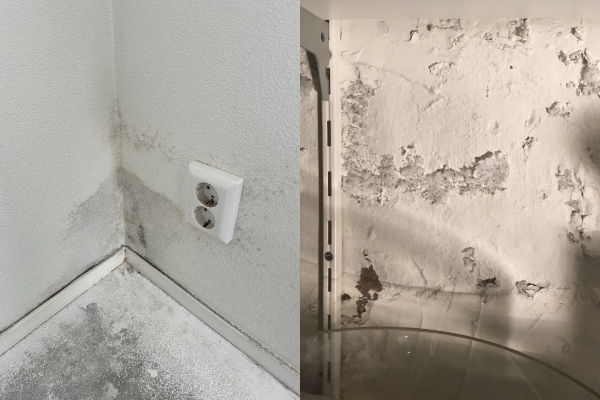 vochtig huis oplossen