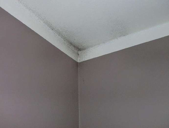 vochtbestrijding gent