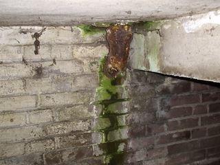 vochtbestrijding kruipruimte