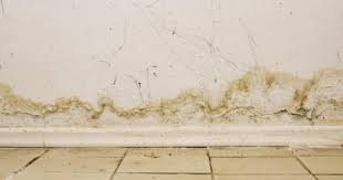 spouwmuurisolatie vochtproblemen