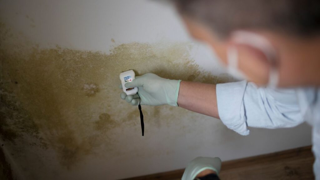 vocht huis bestrijden