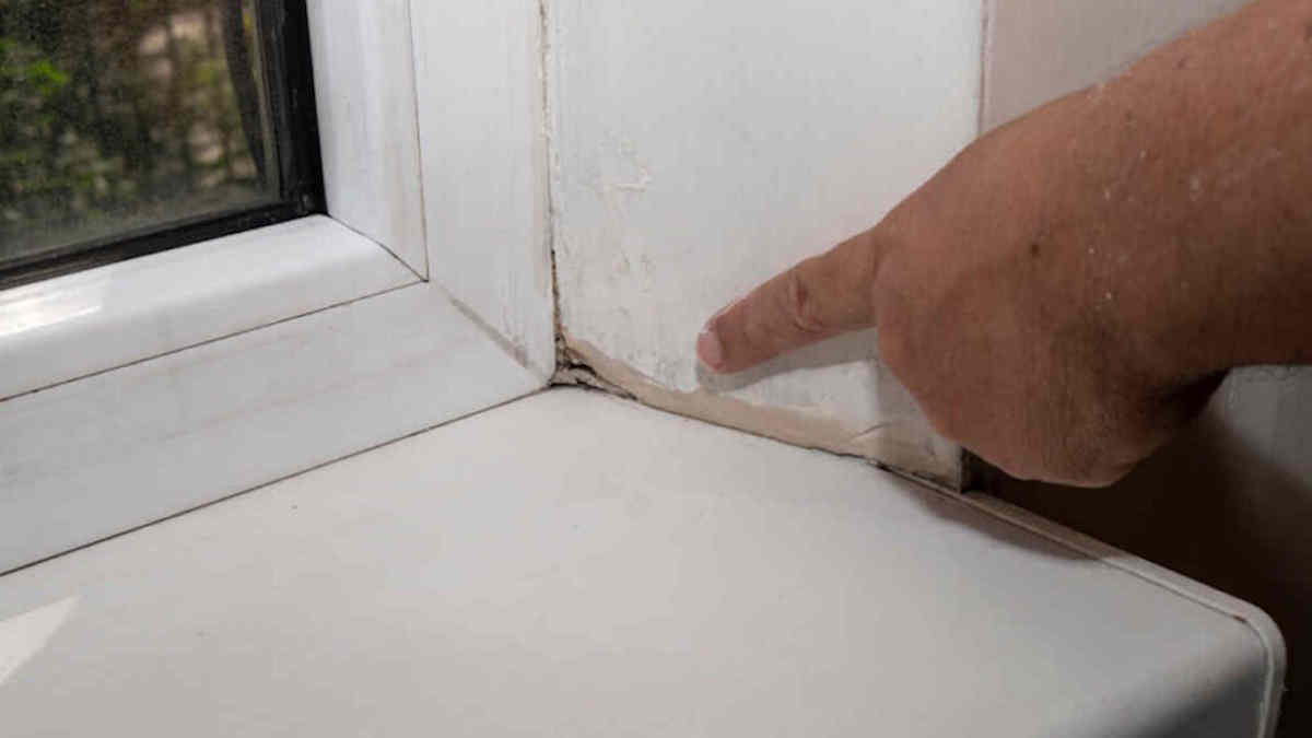 vochtplekken behang verwijderen