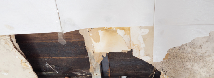 vochtplekken plafond schoonmaken