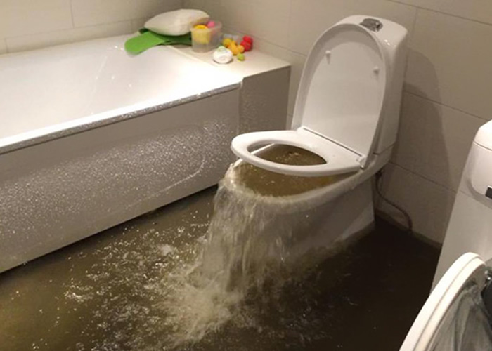 wc verstopt