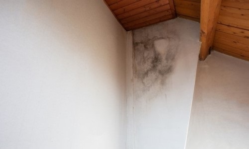 schimmelgeur in huis